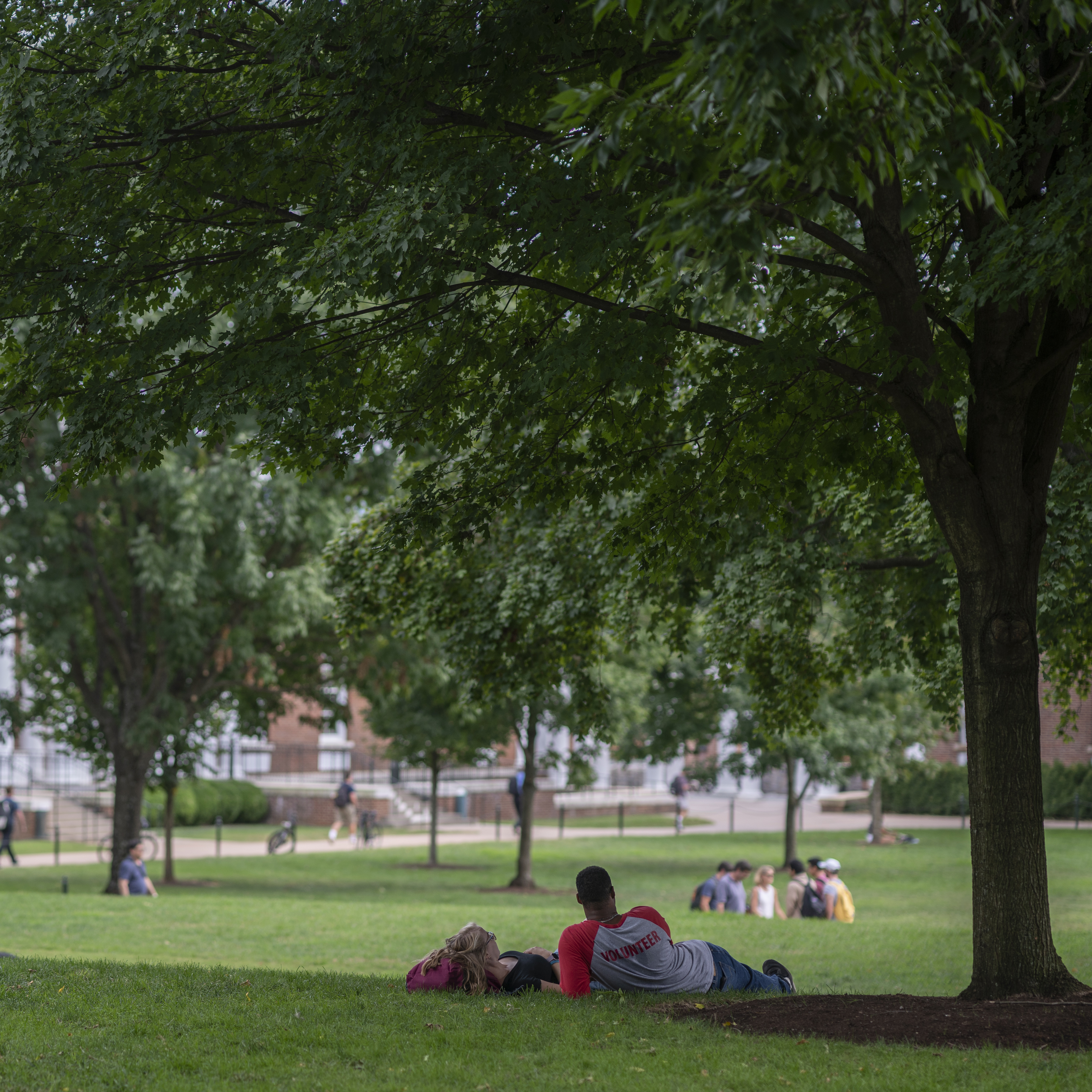 On-Grounds Experience | UVA School of Education and Human Development