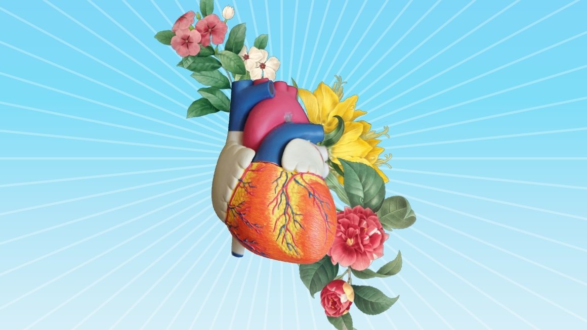 Illustration of heart