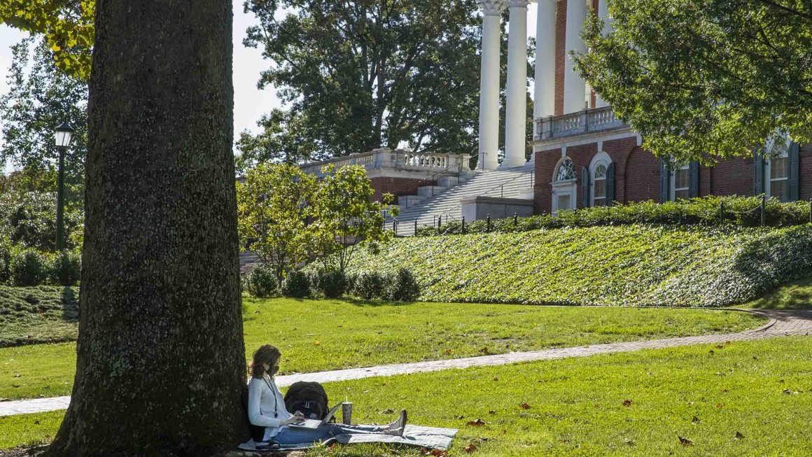 Student studying under tree