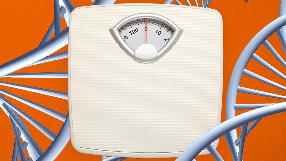 Illustration of a scale surrounded by helices against an orange background