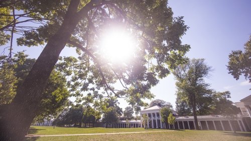 Sun shines through tree branches on UVA Law