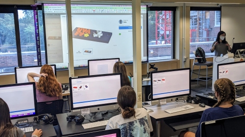 View of a computer classroom from the back of the room. Students are working on computers.