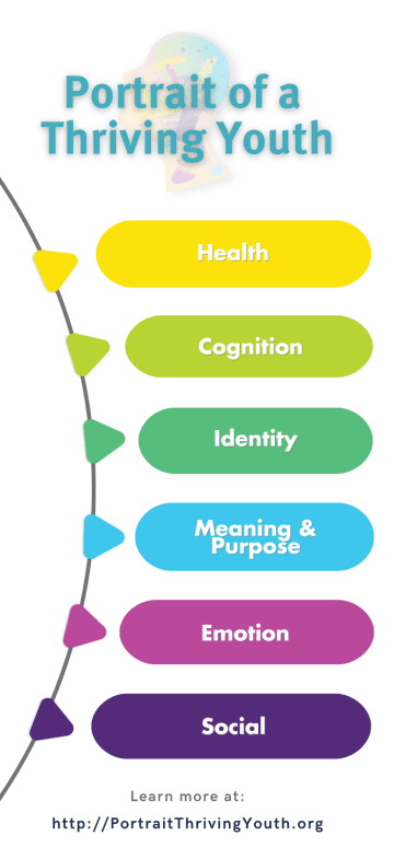 Graphic naming each of the six domains of the portrait: Health, cognition, identity, meaning & purpose, emotion, social